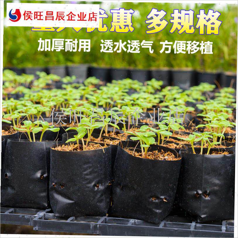 袋营养a杯咖啡百香果树s苗瓜果蔬菜塑料种植袋营养袋槟榔育苗袋