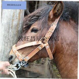 .牛马缰绳牲e口龙套嘴笼嚼子牵马绳栓马术用具骡子毛驴头套嘴套子