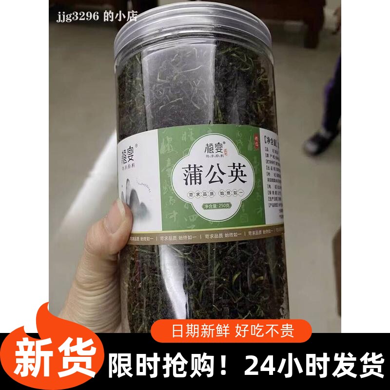 【优选】大促植宴蒲公英茶正品野生整根茶叶新