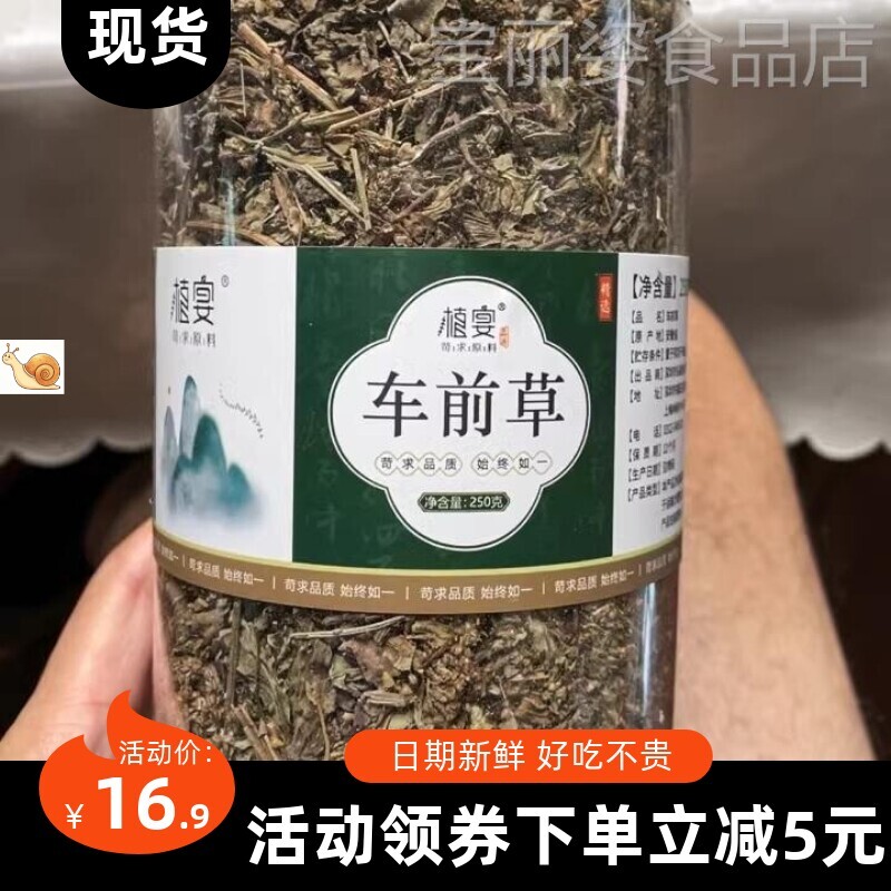 【优选】车前草中药材500g新鲜干货泡水喝袋泡茶野生干金钱草蒲