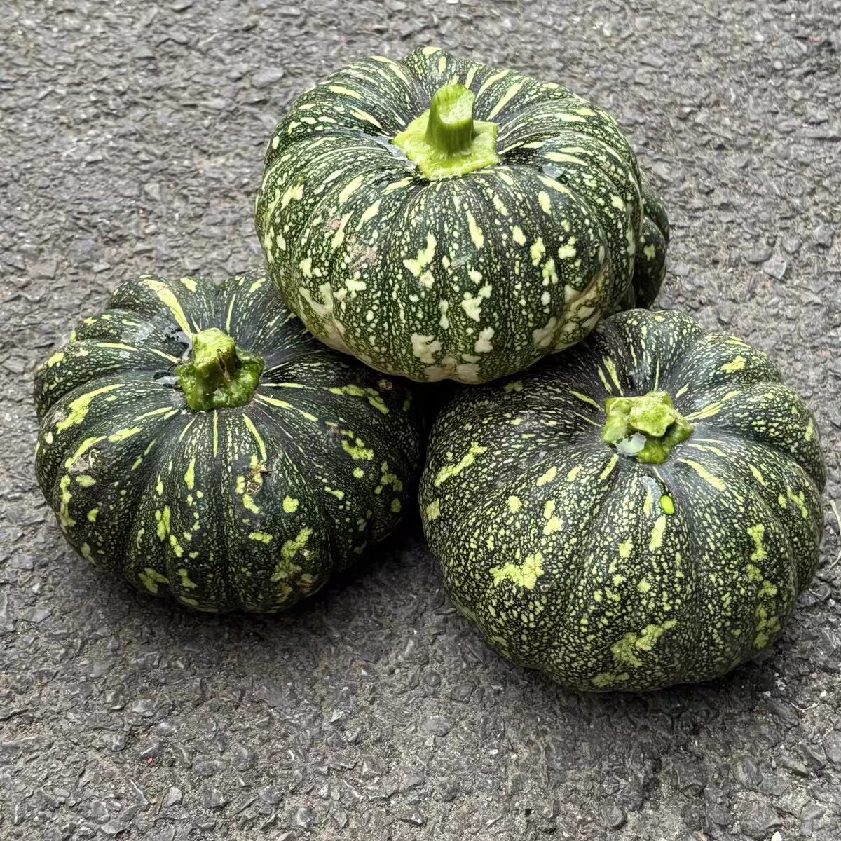 新鲜南瓜贝贝南瓜当季时令农家蔬菜露天本地老品种粉面青皮圆南瓜