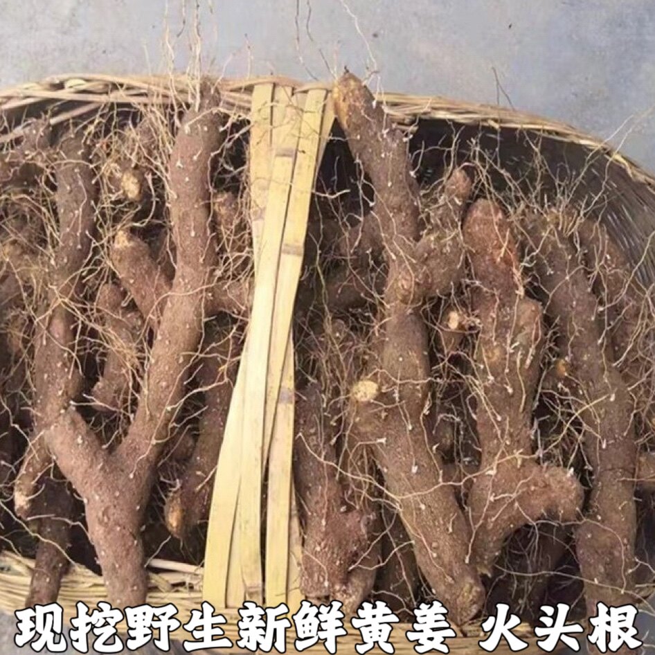 农村土特产野黄姜火藤根黄姜种盾叶薯蓣新鲜生火头根包邮