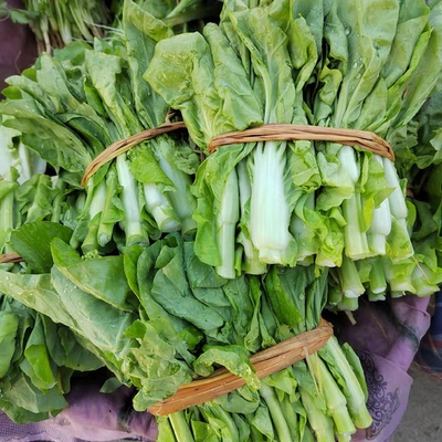 湖北农家露天白菜苔青口白菜心'菜尖苔心菜小白菜苔新鲜 现摘发货