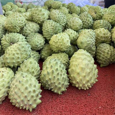 新鲜释迦果凤梨牛奶释迦佛头果番荔枝新鲜当季水果整箱孕妇水果