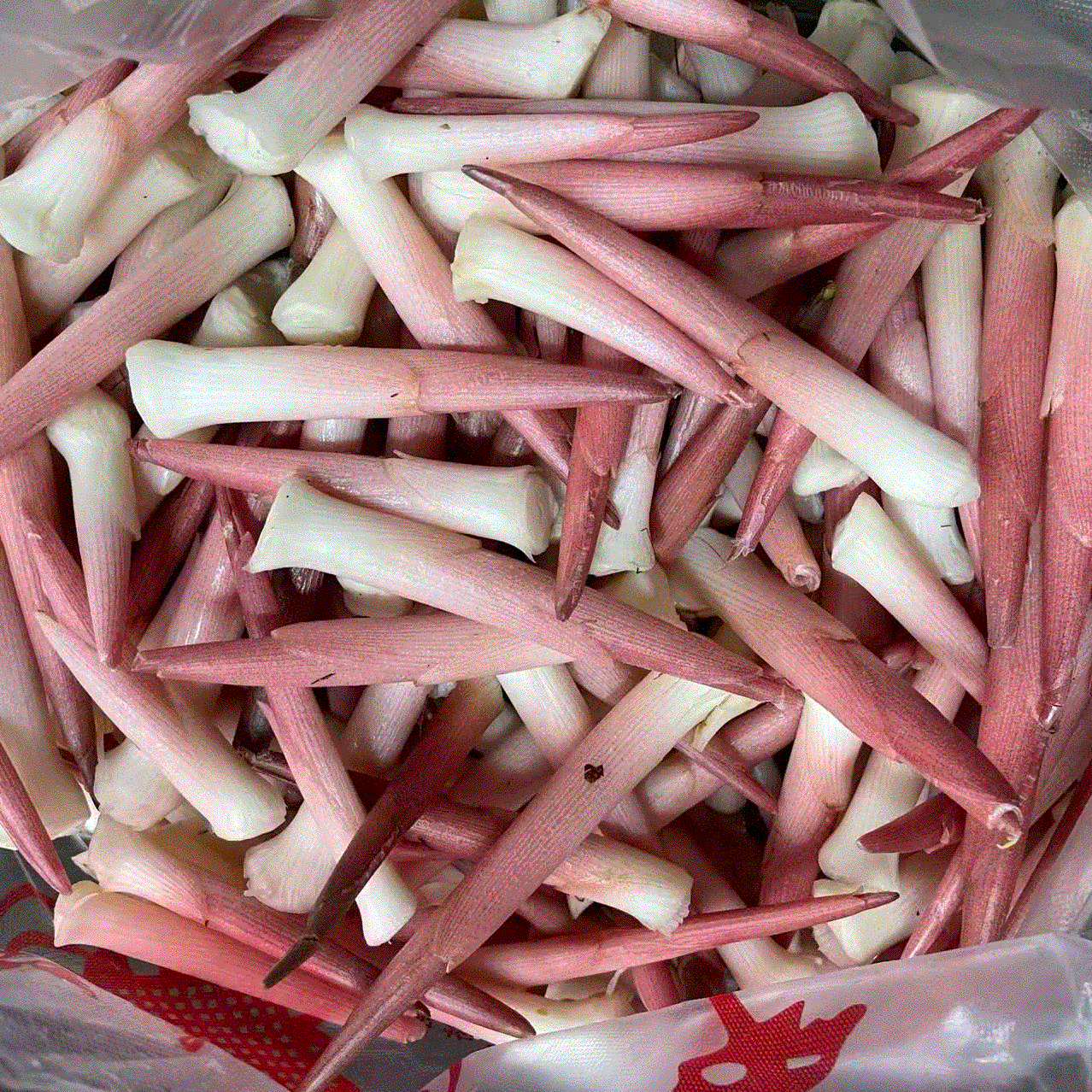 阳荷笋洋合洋荷姜笋野生新鲜野良姜洋火茗荷盐荷湖北宜昌特产包邮