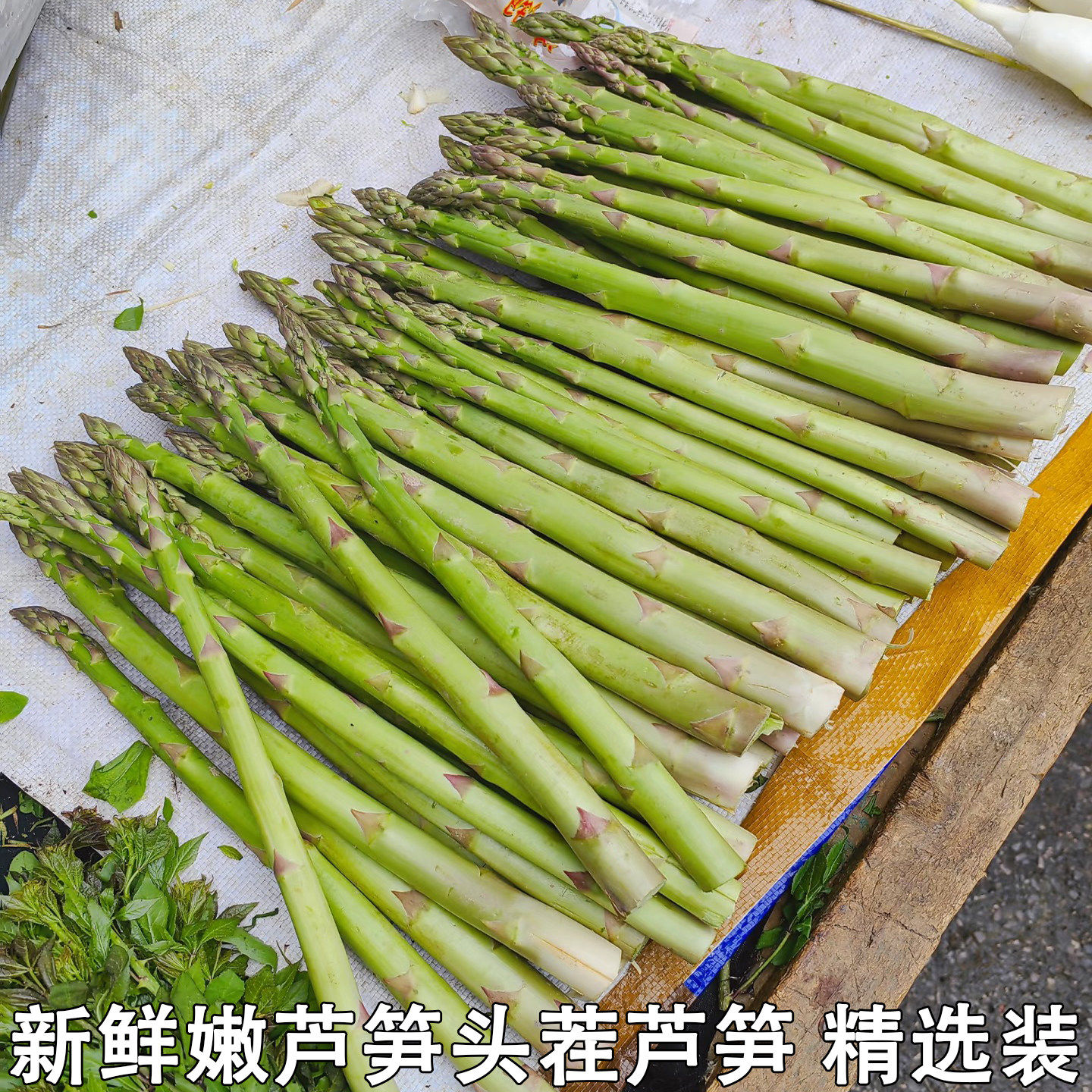 新鲜嫩芦笋现挖新鲜嫩青笋尖鲜芦笋绿芦笋青笋去除老根牛排当季