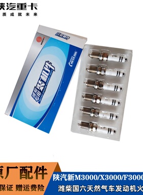 陕汽德龙X5000潍柴WP15国六天然气发动机火花塞1003373173