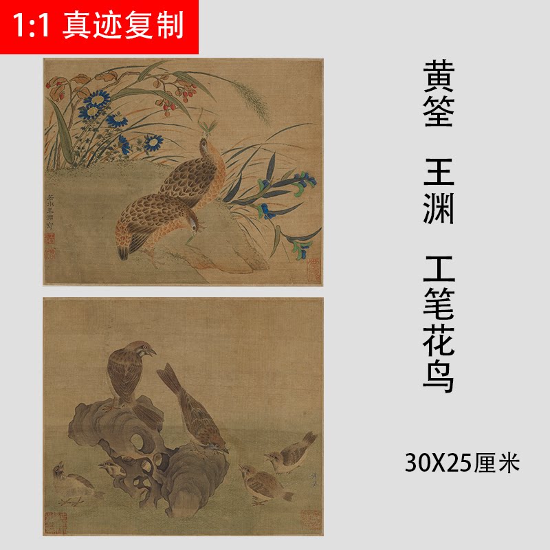 黄筌 王渊工笔花鸟小品国画斗方画微喷复制学习临摹画稿素材
