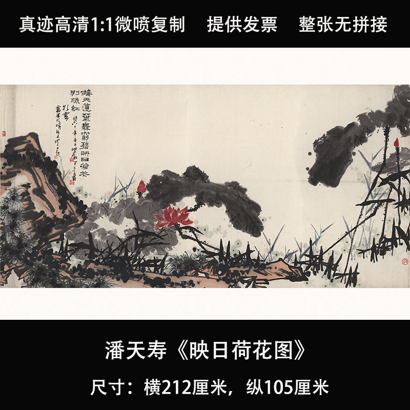 潘天寿映日荷花图国画水墨写意画横幅艺术微喷复制画临摹稿装饰画