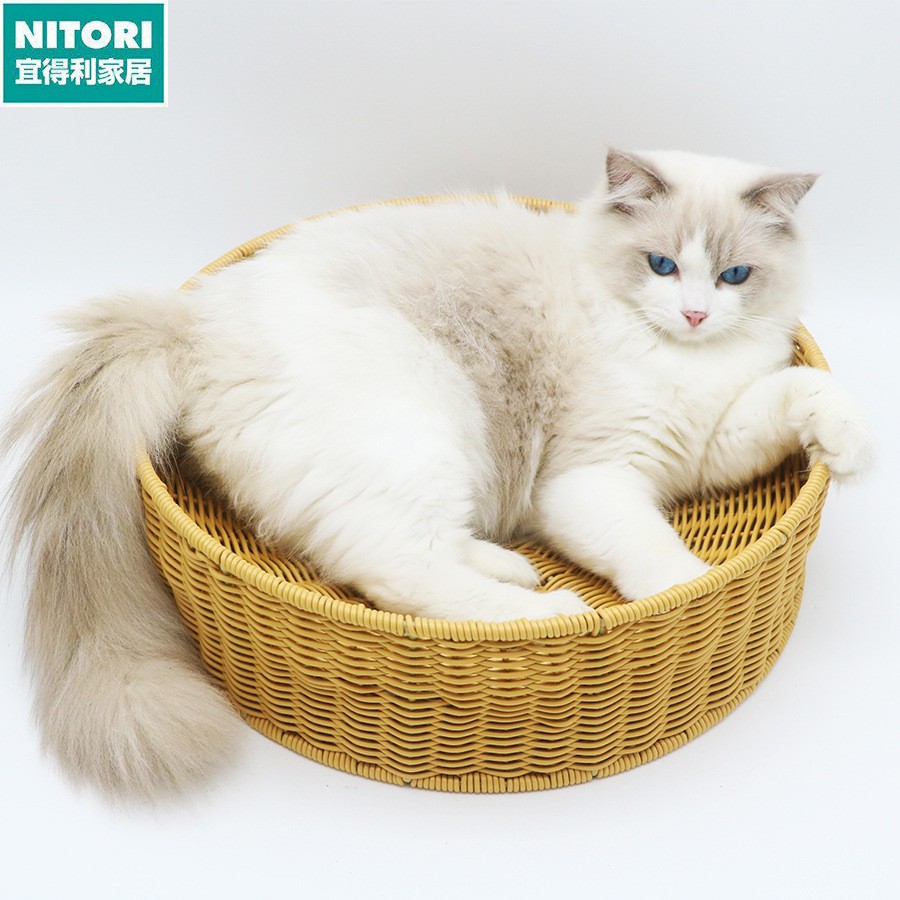 日本进口便宜得利碗圆形猫窝特大号可替换内芯猫磨爪板宠物猫咪玩