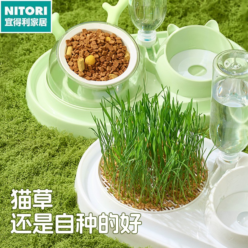 日本进口便宜得利多功能猫碗喂食器自动饮水宠物碗猫草盆防打翻食