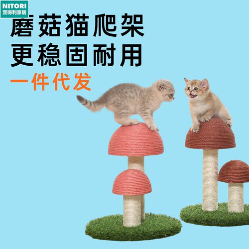 日本进口便宜得利宠物猫爬架通天柱占地小家用猫抓板不掉屑用品玩