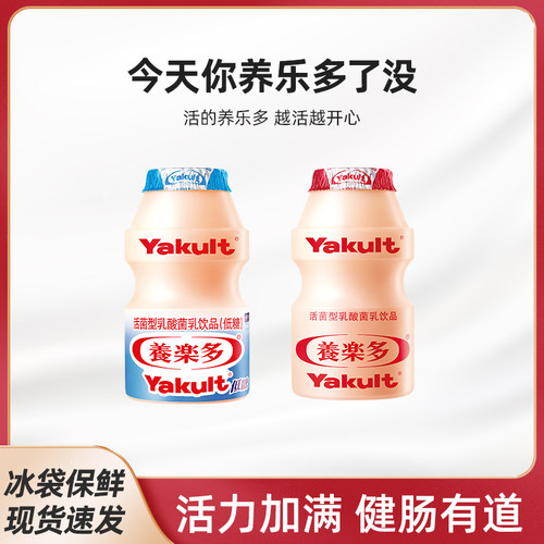 养乐多100ml原味乳酸菌乳饮品