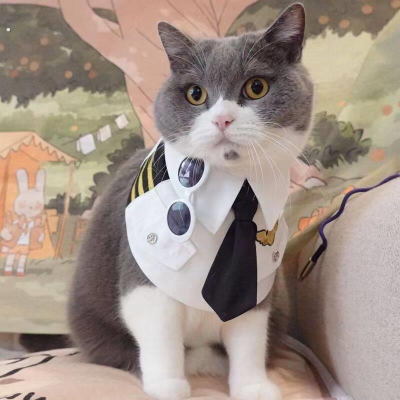 宠物猫围狗狗脖帅气空少制服可爱猫咪服装飞机师英短美短猫变身装