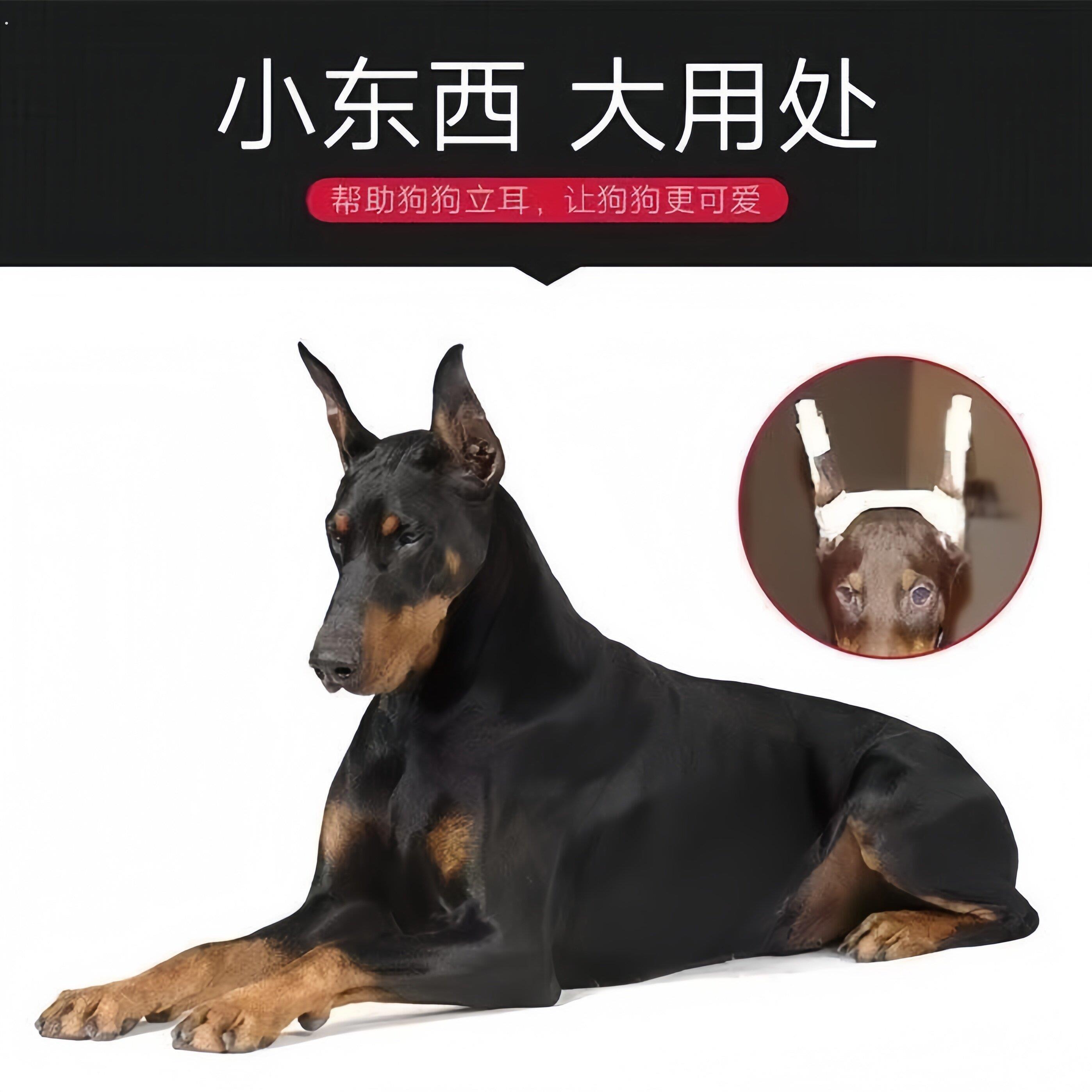 狗狗立耳神器杜宾犬德牧柯基狼狗幼犬折耳朵通用立耳贴竖耳辅助器