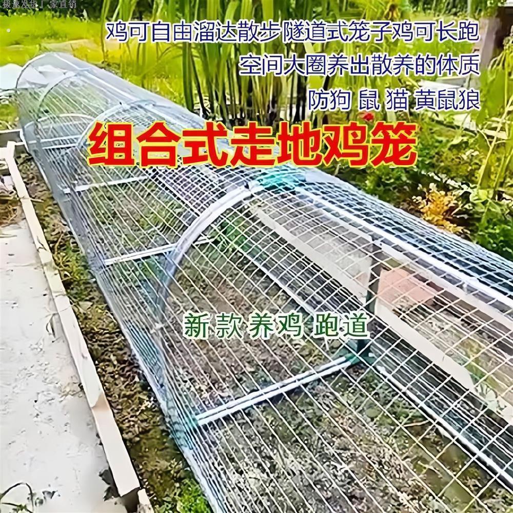 养殖棚跑道鸡笼镀锌网铁网笼防腐防锈兔子跑笼走地鸡户外养鸡隧道图片