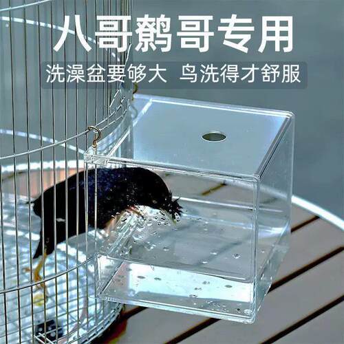 小鸟洗澡盆圆笼专用特大玄凤洗澡盒鹦鹉鹩哥八哥压克力小鸟浴盆