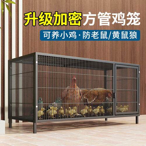 鸡笼子加粗大号家用养殖笼自动滚蛋折叠鸭笼狗笼鹅笼加固厂家直发