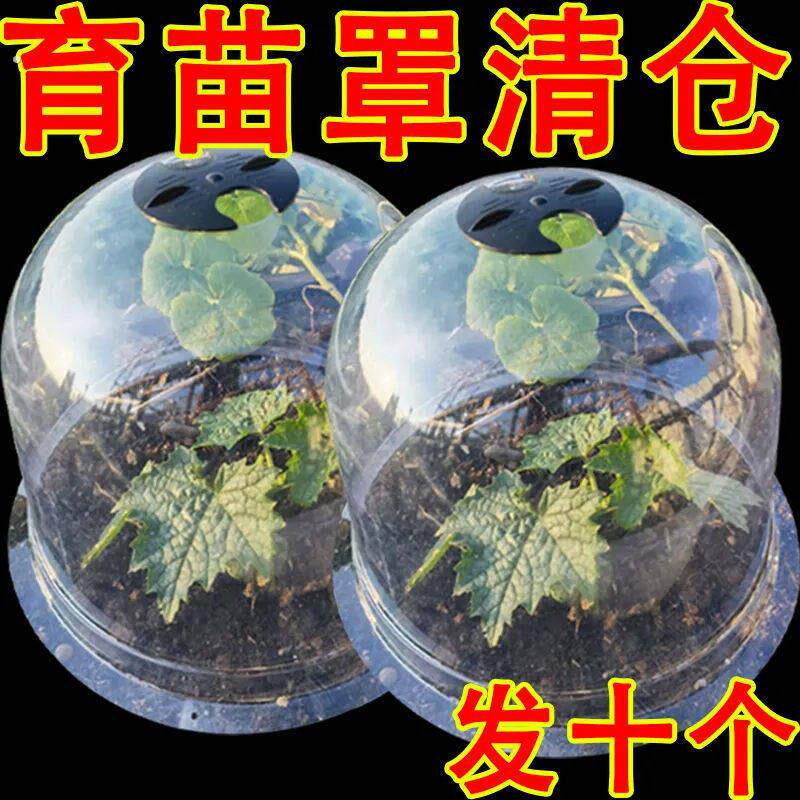 菜地保温罩蔬菜育苗保温加厚塑料透气种植保护幼苗透明植物闷恒温