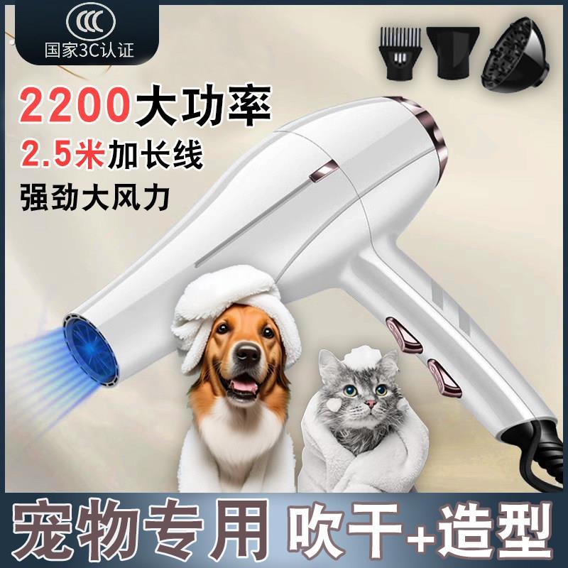 宠物吹风机洗澡专用大功率电吹水机猫咪狗狗家用静音吹毛拉毛神器