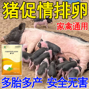 母猪发情剂兽用诱情增加排卵交配促孕多仔刺激母牛母羊畜类配种药