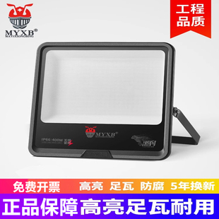 蚂蚁雄兵黑豹led投光灯户外防眩晕仓库广告厂房招牌工地球场路灯