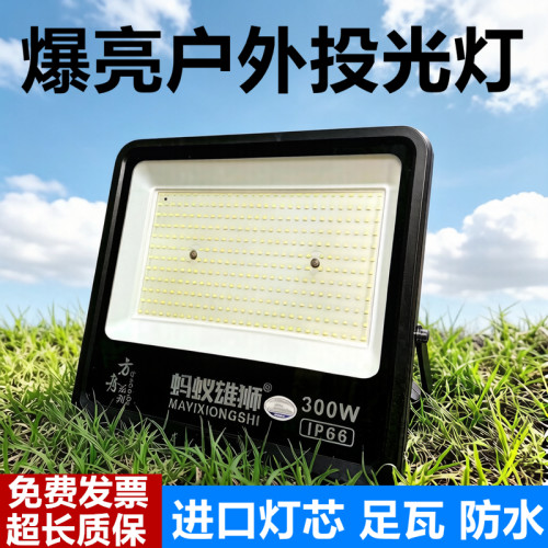 蚂蚁雄狮LED足功率300VV投光射灯