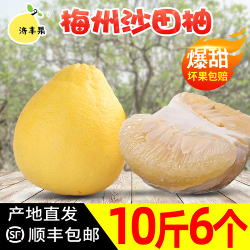 沙田柚英语质量怎么样 沙田柚英语口碑怎么样 小麦优选