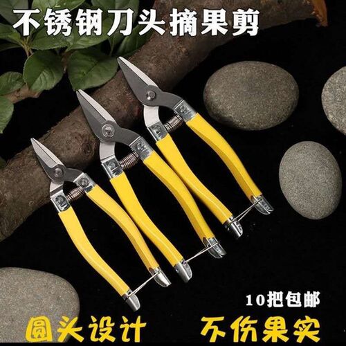 广东罗定牌不锈钢采果剪刀摘果剪刀沙糖柑桔剪蔬果剪果子剪修枝剪
