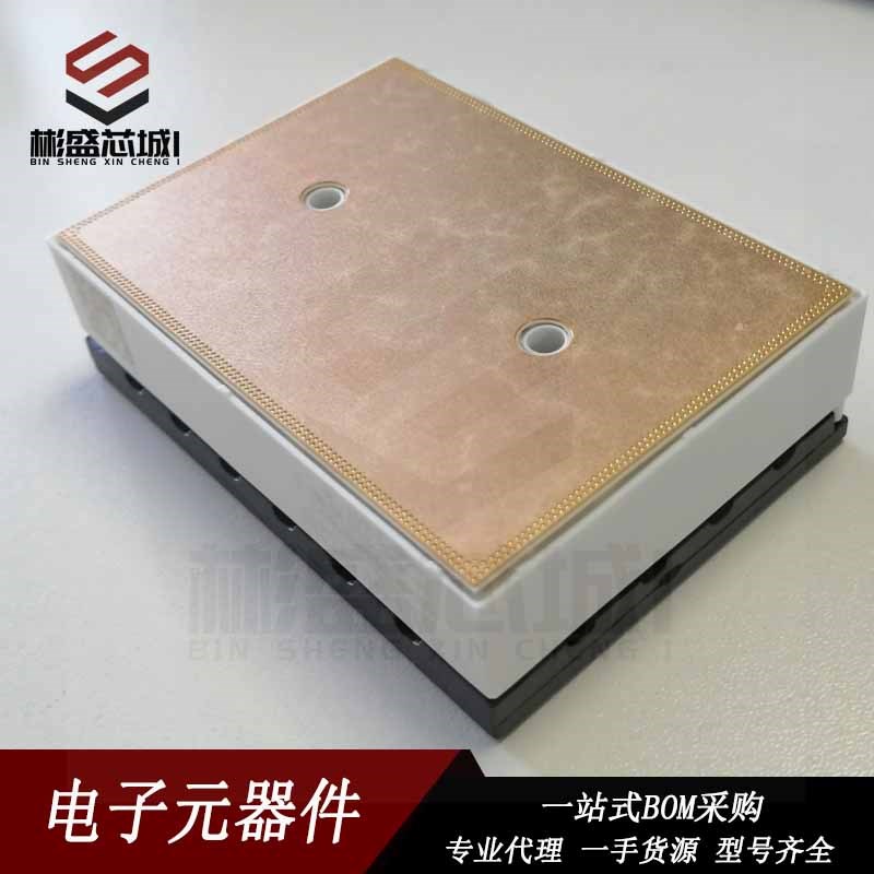 SKIIP39ANB16V1 SKIIP39AHB16V1 SKIIP39ANB16V3 SKIIP39GA12T4V1