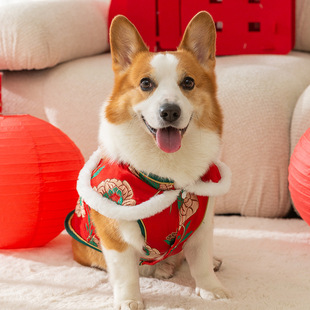 柯基狗狗国风衣服新年马年唐装短腿腊肠比格泰迪雪纳瑞可卡比熊