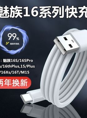 适用魅族16X数据线16th原装16thplus手机充电线快充线魅蓝X闪充5A