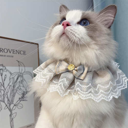 可爱猫咪围脖蕾丝边宠物蝴蝶饰品