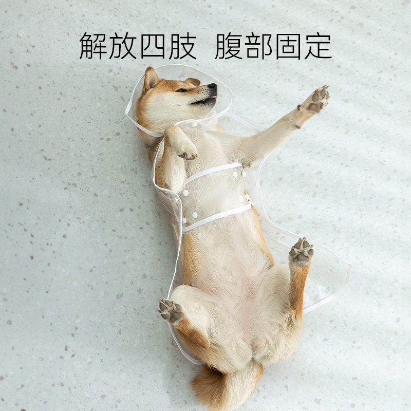 狗狗时尚透明披风式雨衣宠物雨披外出金毛衣服狗中雨天防水大型犬,宠物/宠物食品及用品,狗宠物服装/雨衣,淘宝优惠券,粉丝福利购,淘宝优惠卷
