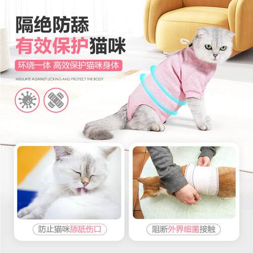 款双亚逊马宠物YA001A31衣服猫咪绝育服腿款魔术贴易穿脱透新气猫