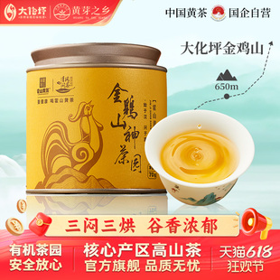 霍山黄大茶正宗核心产区金鸡凼黄大茶三闷三烘皖西黄茶大叶茶70g