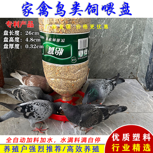 家禽用料槽食槽鸟料桶料筒小鸡喂食器喂水器鸡鸭鹅鸽子自动下料桶