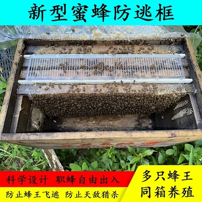 透明塑料中蜂意蜂立式控王板蜜蜂双王群养殖笼隔皇器土蜂王防逃框