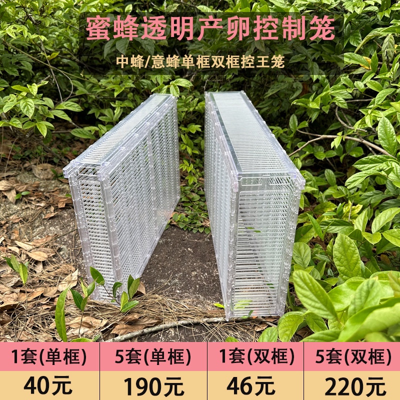 蜜蜂多王群饲养笼隔王栅产卵控制器防逃笼双王群养殖隔王板防盗片