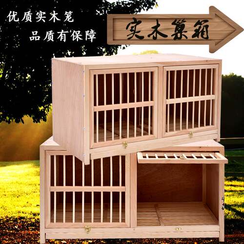 信鸽配对笼赛鸽赛飞巢箱鸽子笼种鸽调节笼鸽子用品鸽具定做养殖笼