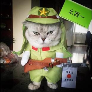 八嘎装春款狗狗猫咪衣服网红搞笑搞怪可爱宠物巴哥比熊泰迪柴犬