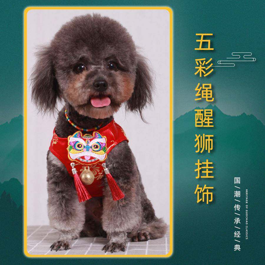 宠物狗狗猫咪项圈围脖铃铛小型犬狗牌猫牌长命锁泰迪比熊端午项链