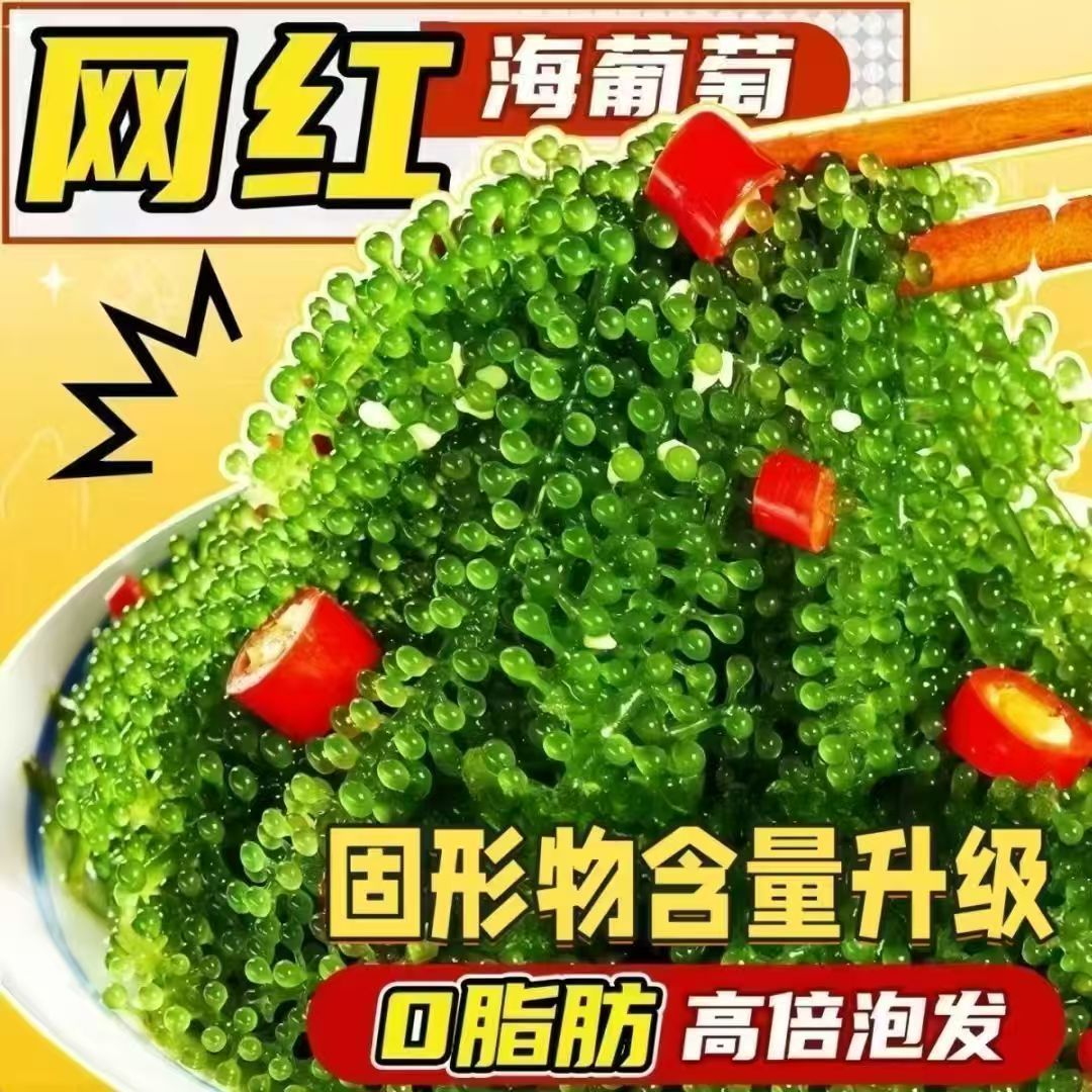 新货海葡萄儿童新鲜即食无添加剂海带海藻鱼子酱寿司袋装凉拌菜