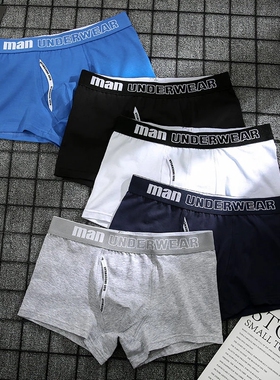 4pcs Boxer Mens Underwear Men Cotton Underpants Man 纯棉内裤