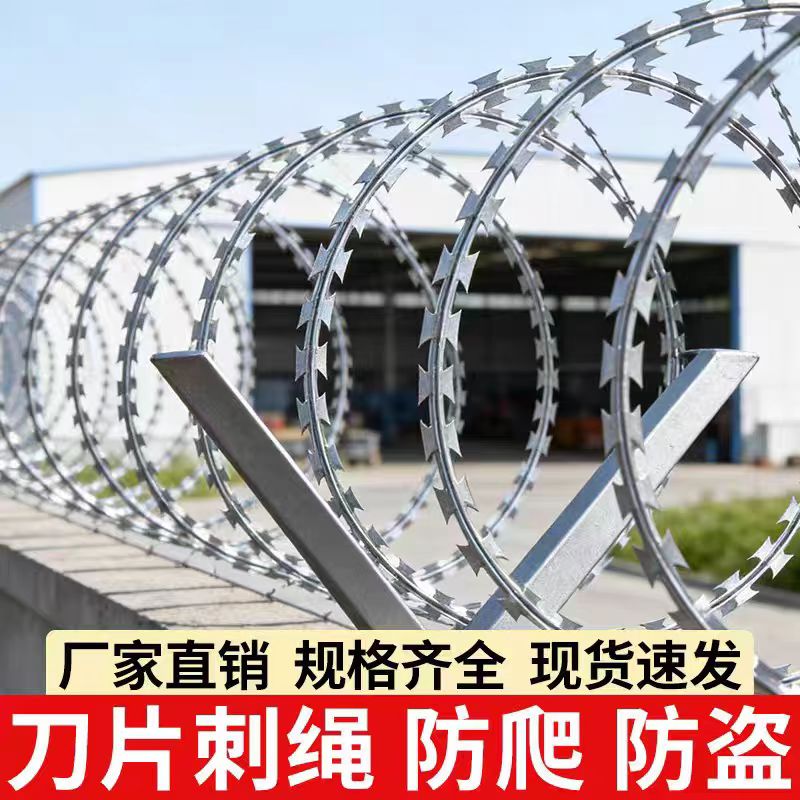 热镀锌不锈钢刀片刺绳学校围墙图片