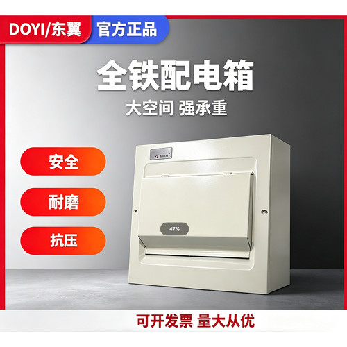 东翼铁电箱漏电开关空开盒全铁电箱空开配电箱家用总闸盒2-12位