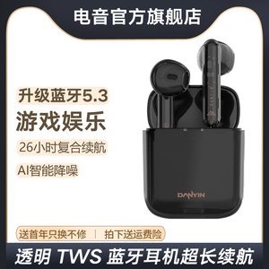 电音W2无线蓝牙耳机5.3半透明跑步运动音乐typec游戏耳机通话降噪