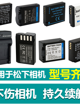 适用于松下CCD相机电池充电器S005E S008E S006E S007E S004 S002 S001 BCK7 BLH7 BCM13 BLB13座充套装BCN10