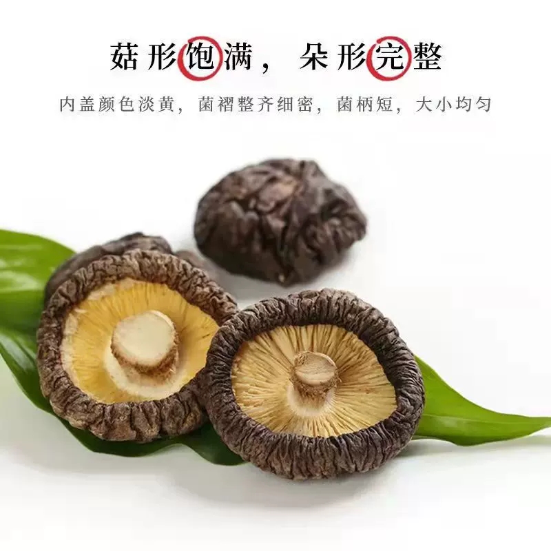 香菇特产西峡无根香菇干货一斤包邮全干自然晾晒质量保证手选冬菇