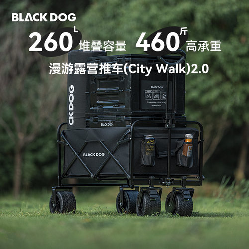 BLACKDOG黑狗漫游营地车